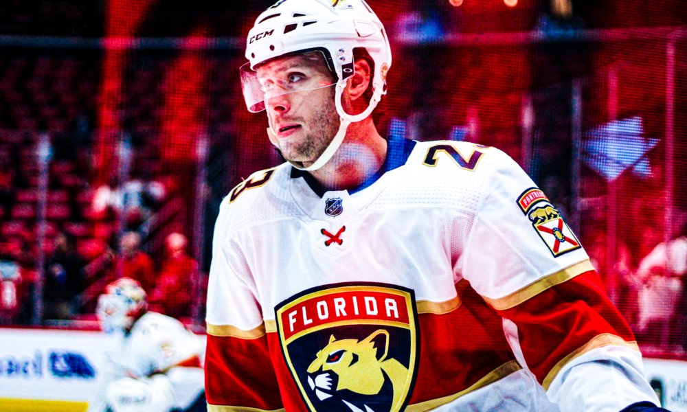 Florida panthers