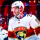 Florida panthers