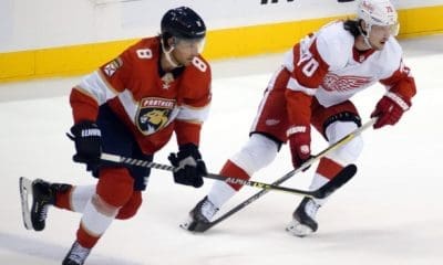 Florida panthers