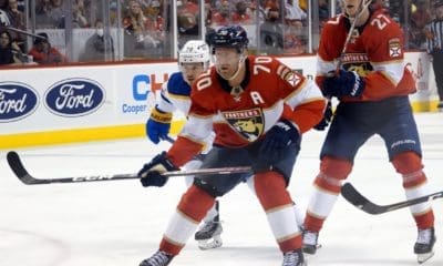 Florida panthers