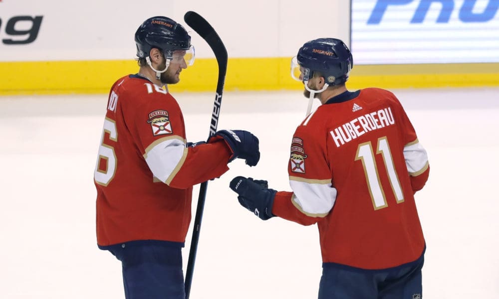 Florida panthers