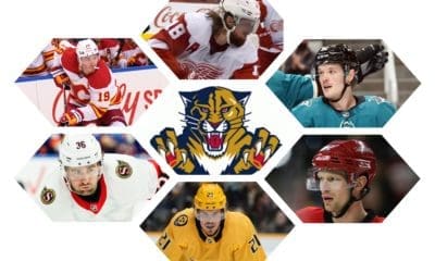 Florida panthers