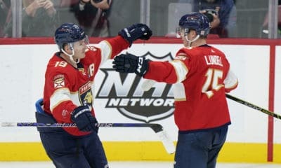 Florida panthers