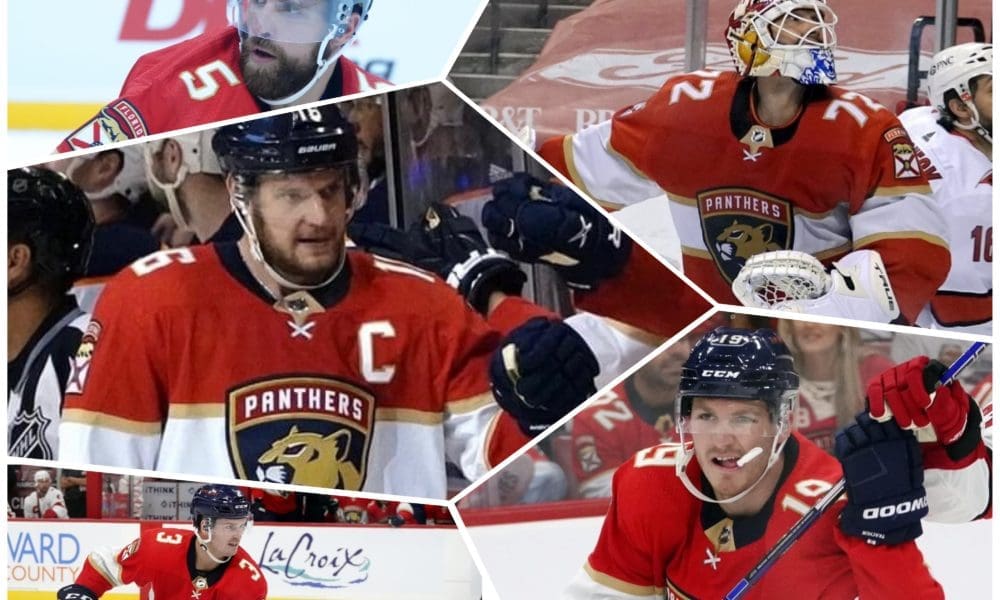 Florida panthers