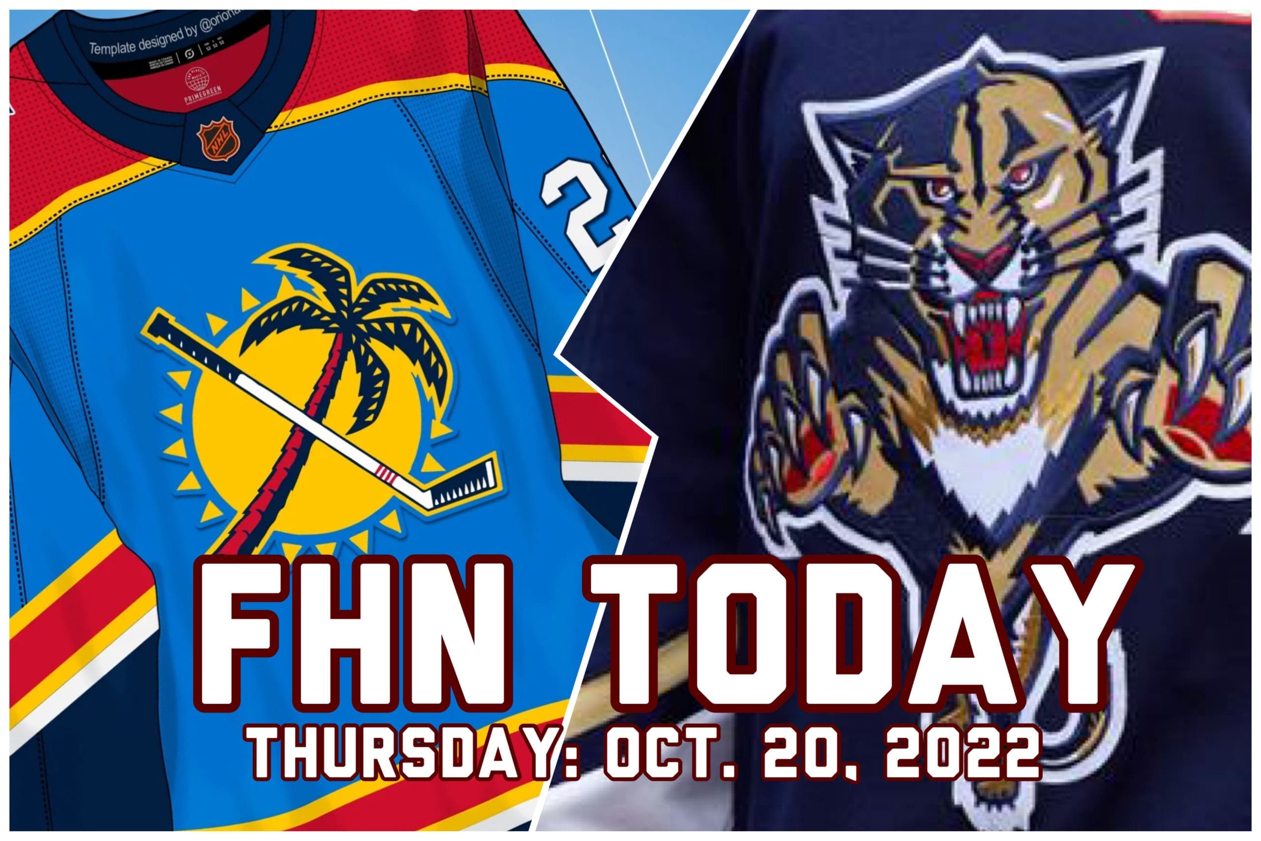 Florida panthers retro