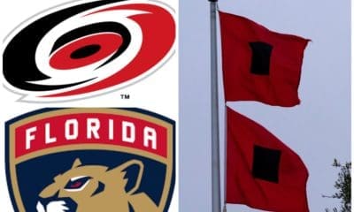 Florida panthers