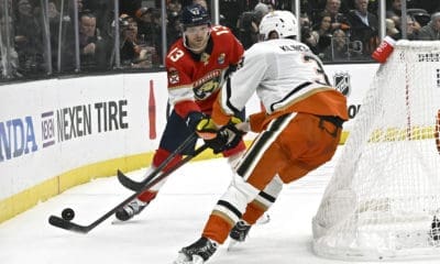 Florida panthers