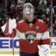 Florida panthers