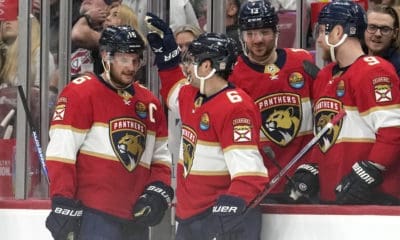 Florida panthers