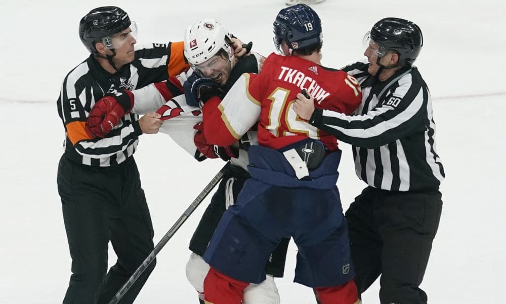 Florida panthers