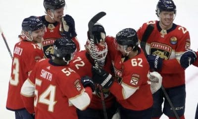 Florida panthers