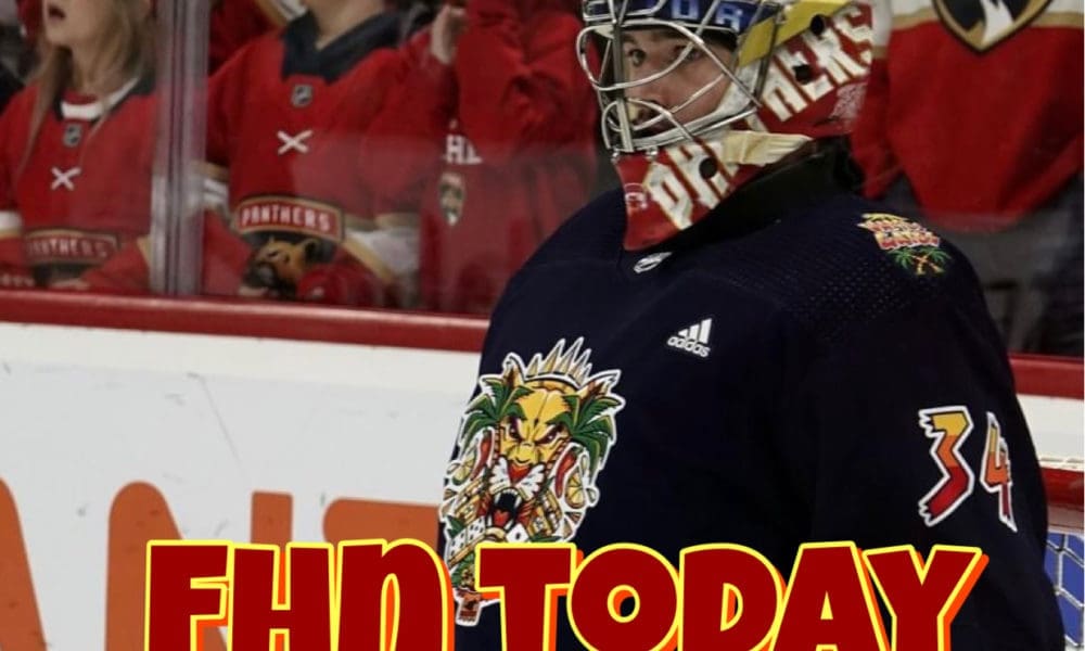 Florida panthers