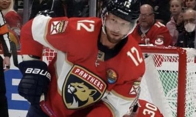 Florida panthers