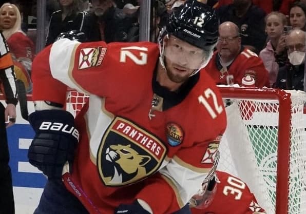 Florida panthers