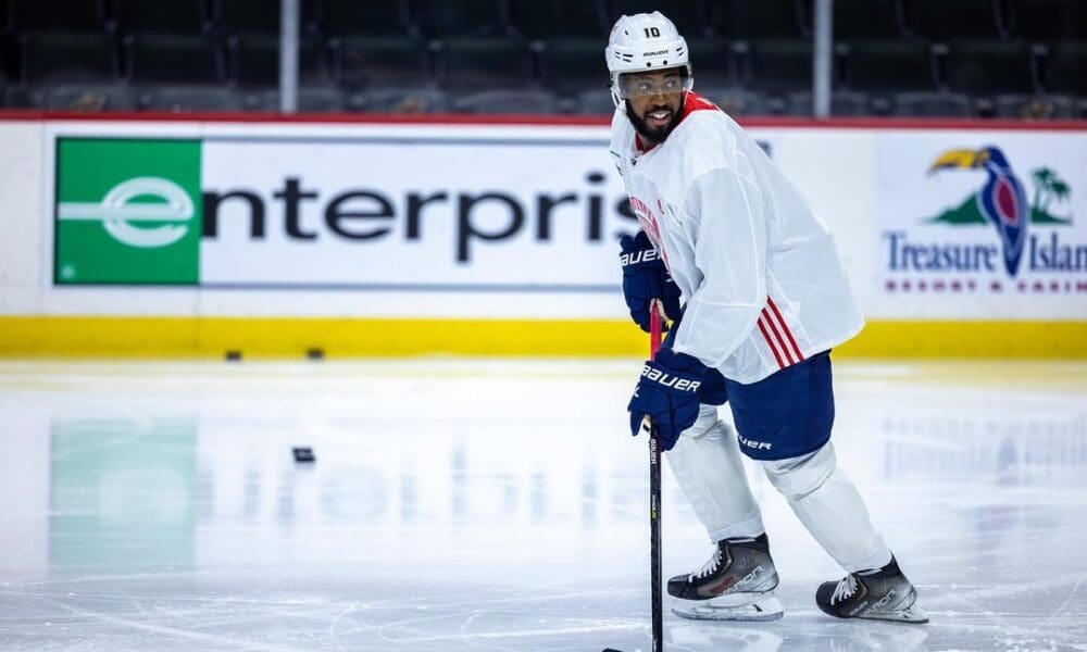 Florida panthers duclair