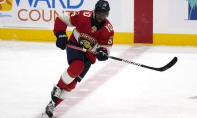 Anthony duclair panthers