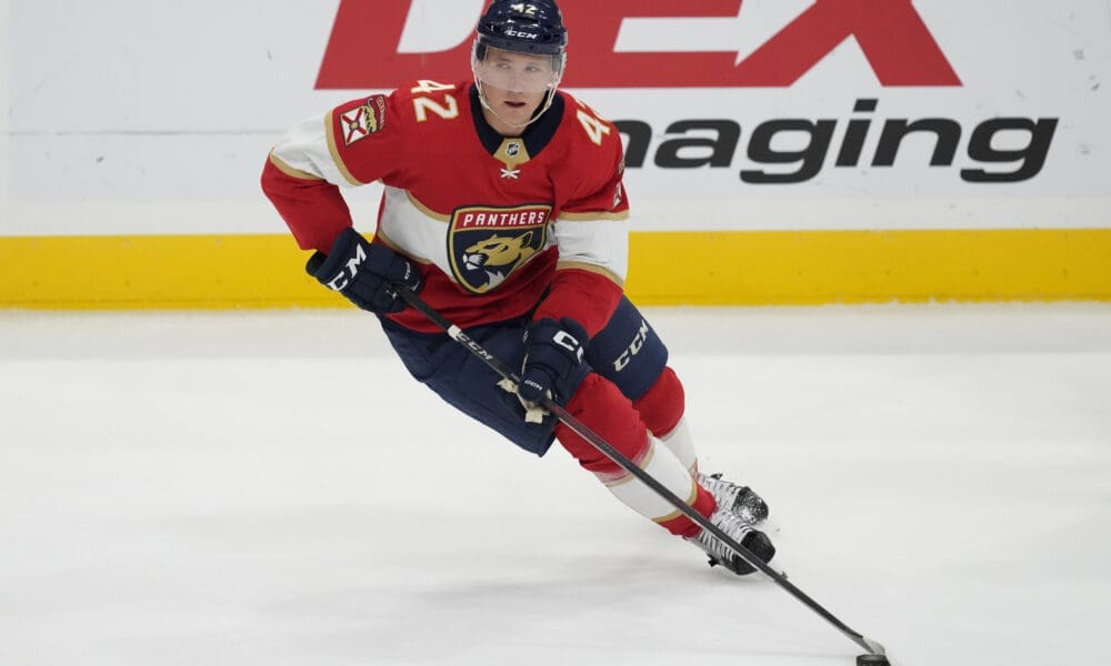 Florida panthers forsling