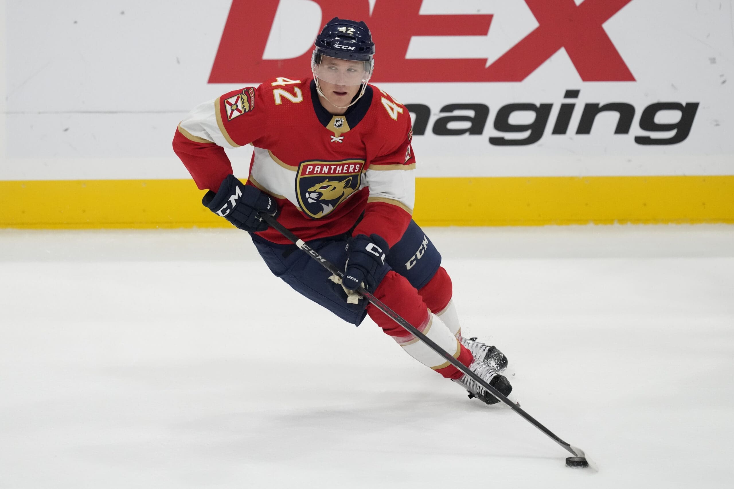 Florida panthers forsling