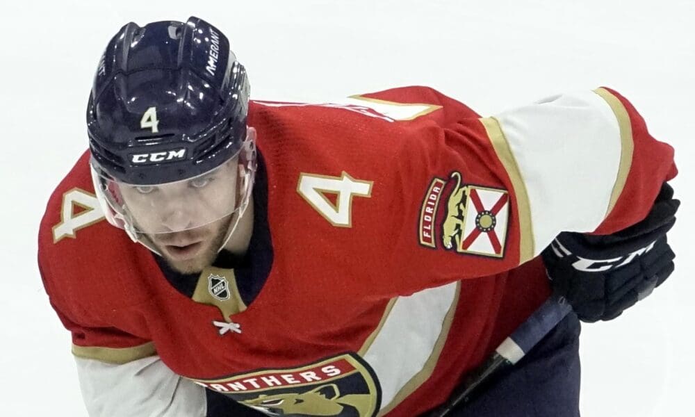 Florida panthers