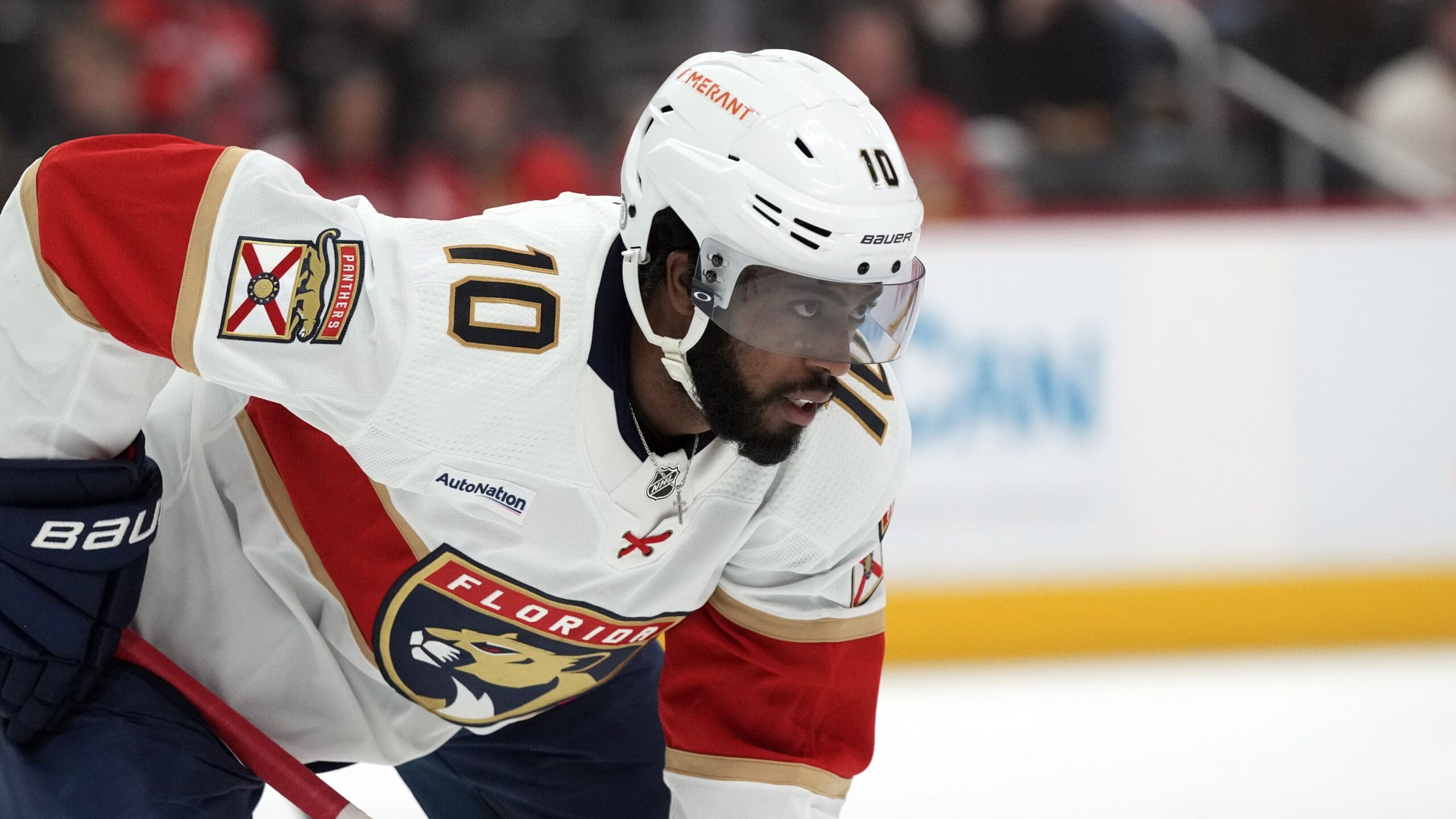 duclair florida panthers