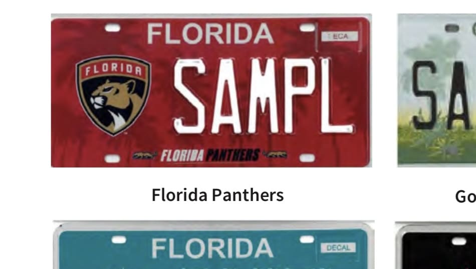 Florida panthers plate