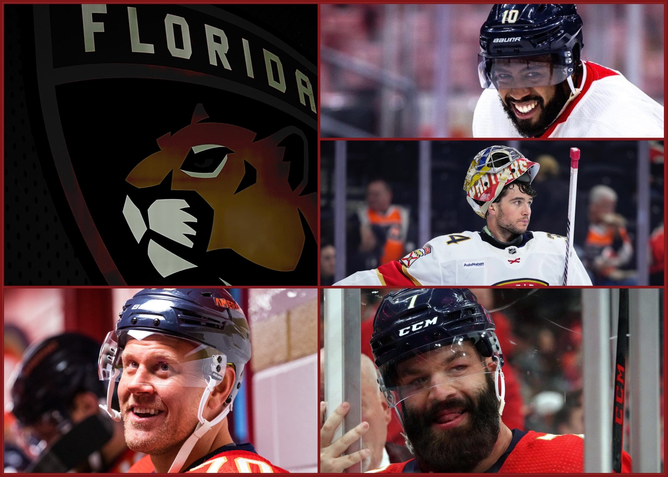 Florida panthers