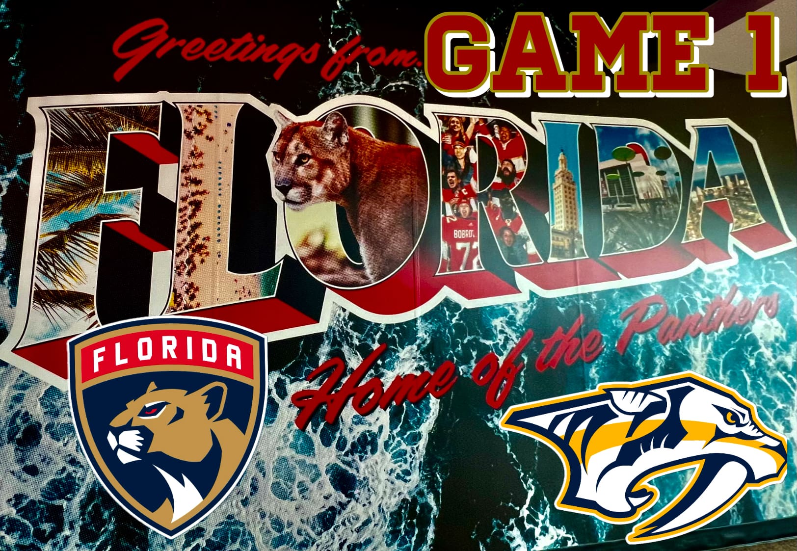 Florida panthers