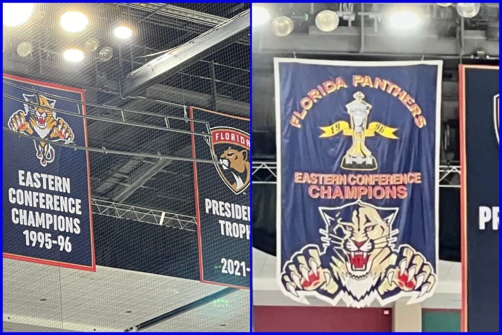 Florida panthers