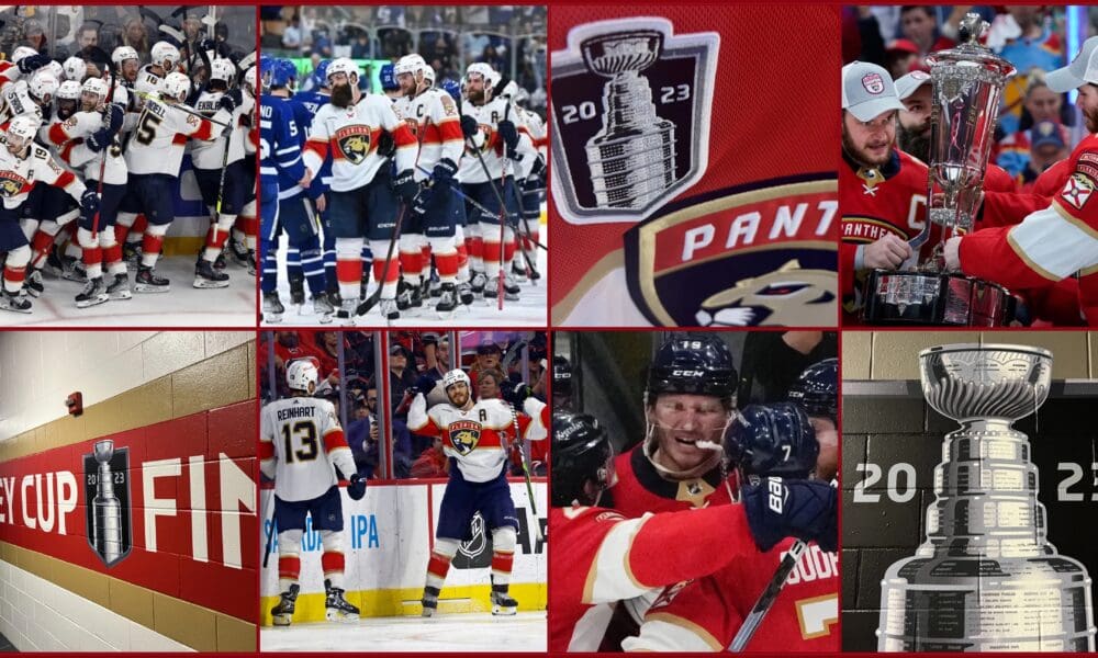 Florida panthers