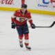 Florida panthers