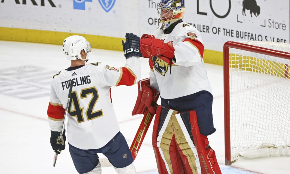 Florida panthers