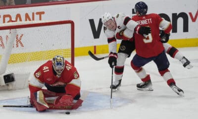 Florida panthers