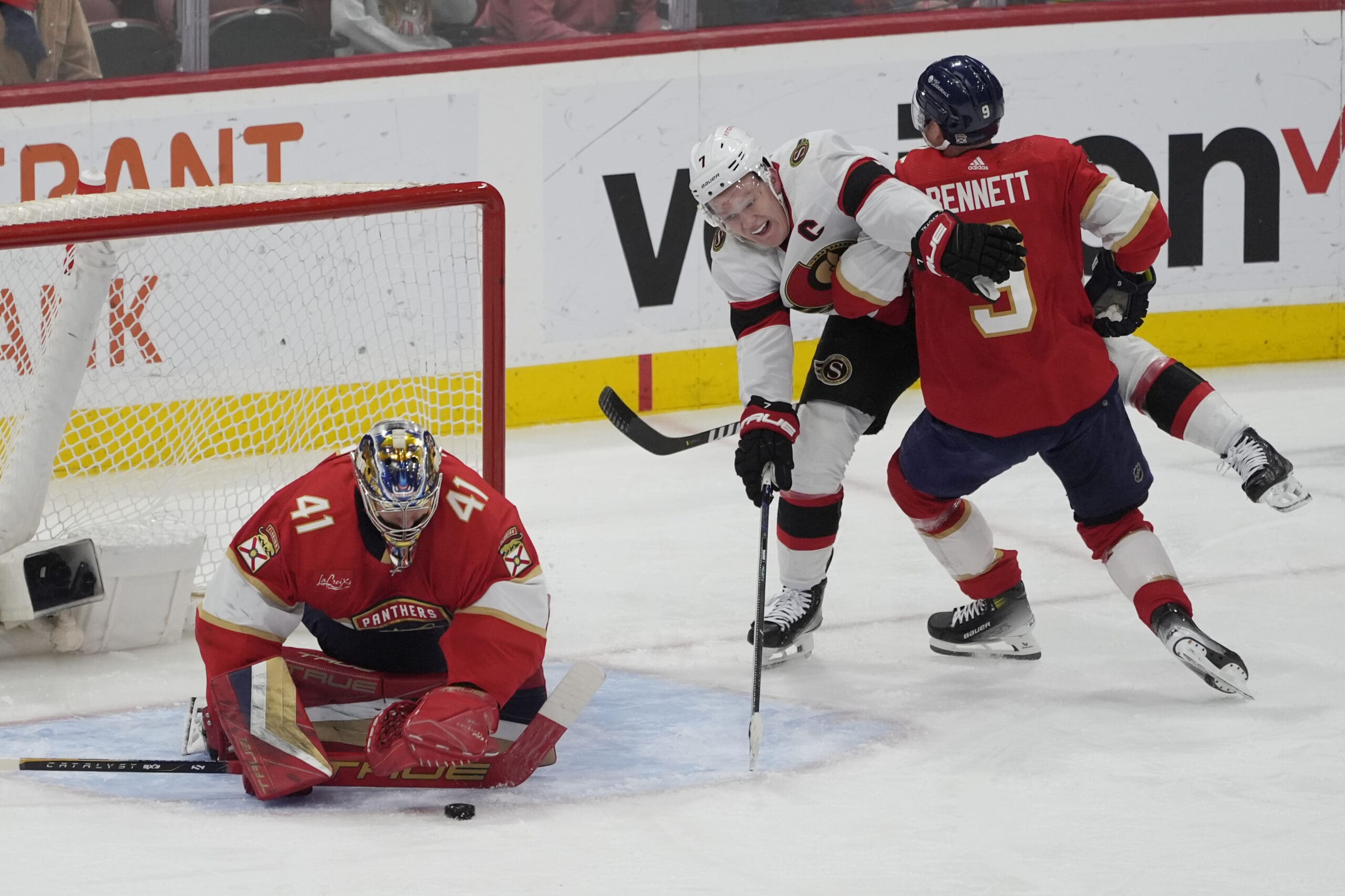 Florida panthers