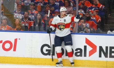 Florida panthers