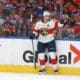Florida panthers