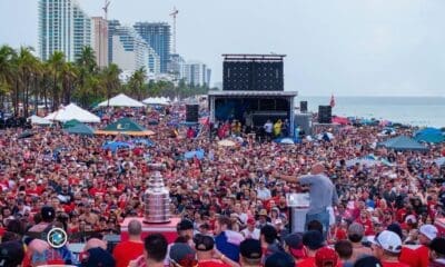 Florida panthers