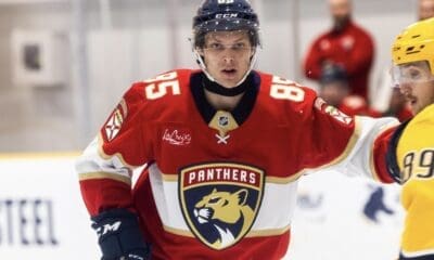 Florida panthers