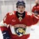 Florida panthers