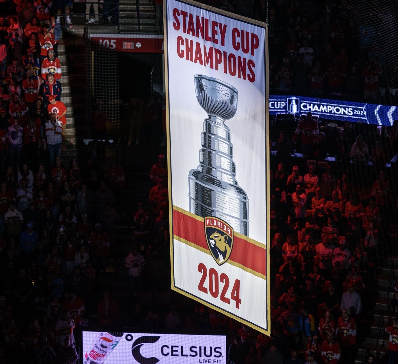 Panthers cup banner