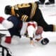 Panthers bruins