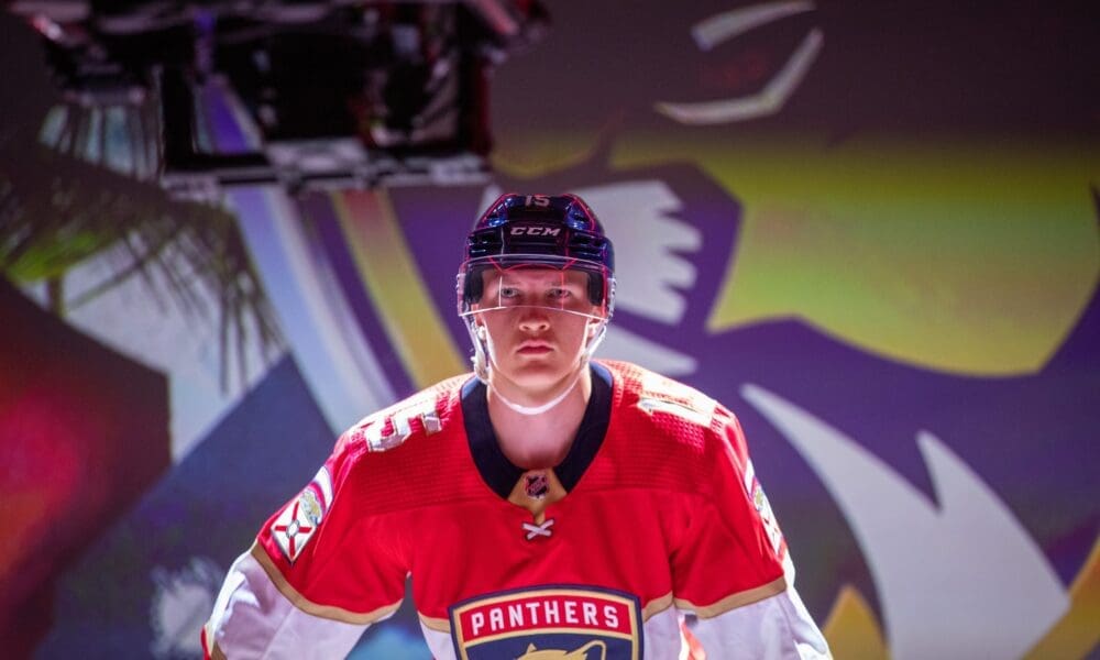 Florida panthers