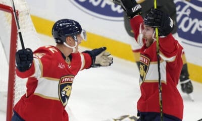 Florida panthers