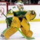 Fleury wild