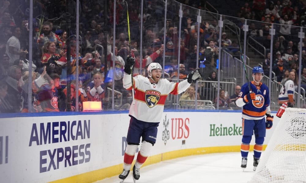 Florida panthers