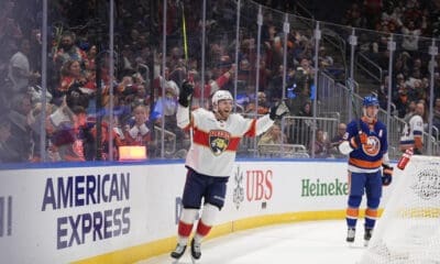 Florida panthers