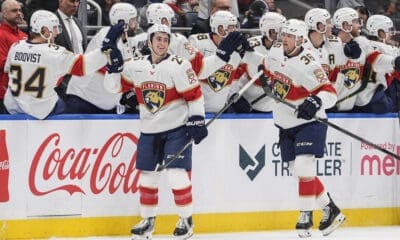 Florida panthers