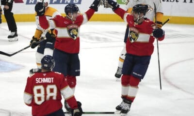 Florida panthers