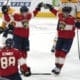 Florida panthers