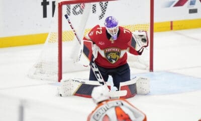 Florida panthers
