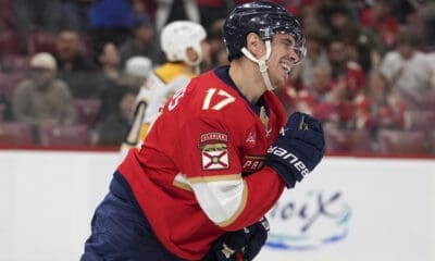 Florida panthers